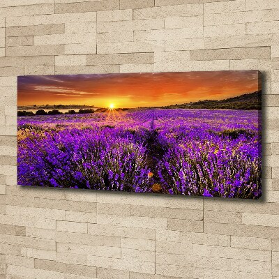 Foto quadro su tela Campo di lavanda