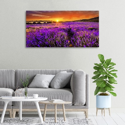 Foto quadro su tela Campo di lavanda