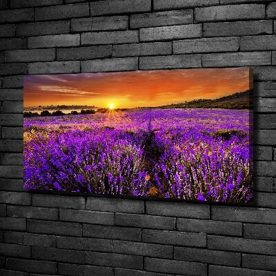 Foto quadro su tela Campo di lavanda