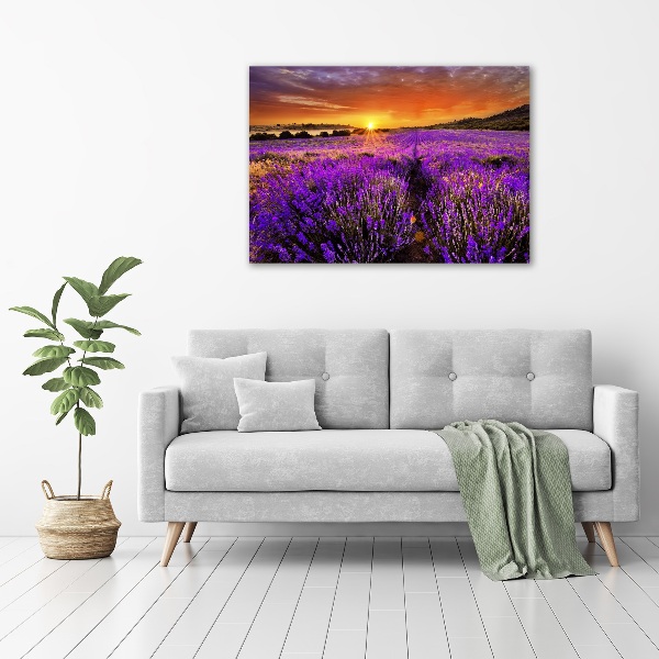Foto quadro su tela Campo di lavanda