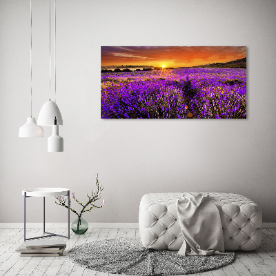 Foto quadro su tela Campo di lavanda