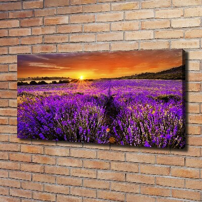 Foto quadro su tela Campo di lavanda