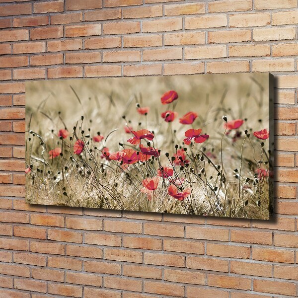Quadro stampa su tela Papaveri