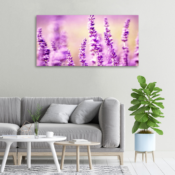 Quadro su tela Lavanda