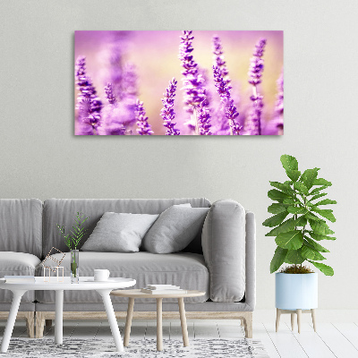 Quadro su tela Lavanda