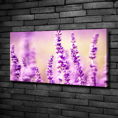 Quadro su tela Lavanda