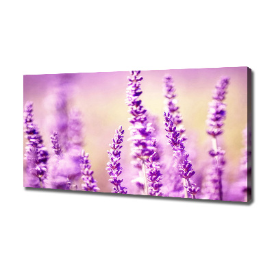 Quadro su tela Lavanda