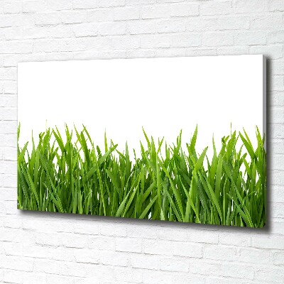 Foto quadro su tela Erba