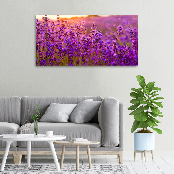 Quadro stampa su tela Campo di lavanda