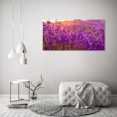 Quadro stampa su tela Campo di lavanda
