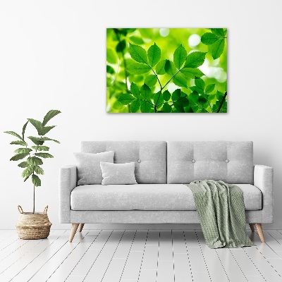 Quadro su tela Foglie verdi