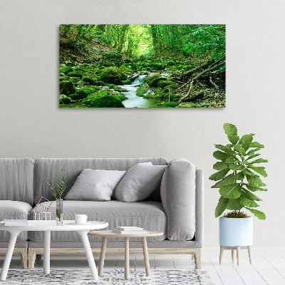 Quadro su tela Un ruscello nella foresta