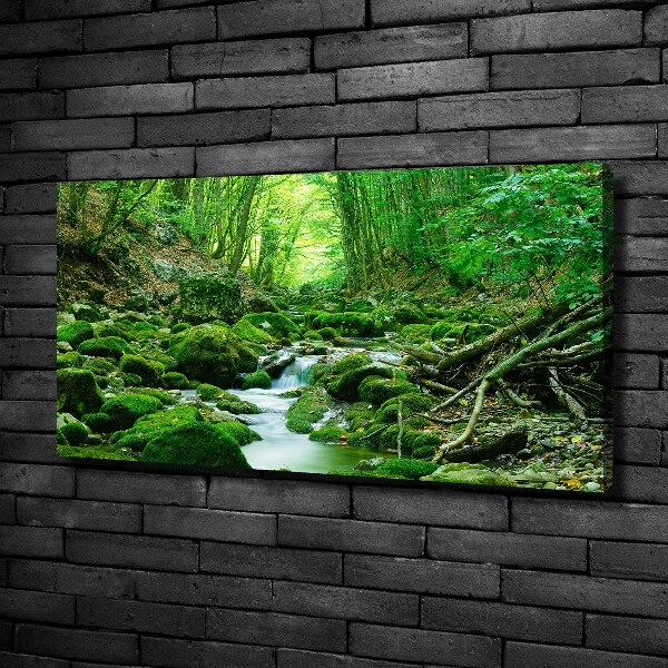 Quadro su tela Un ruscello nella foresta