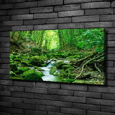 Quadro su tela Un ruscello nella foresta
