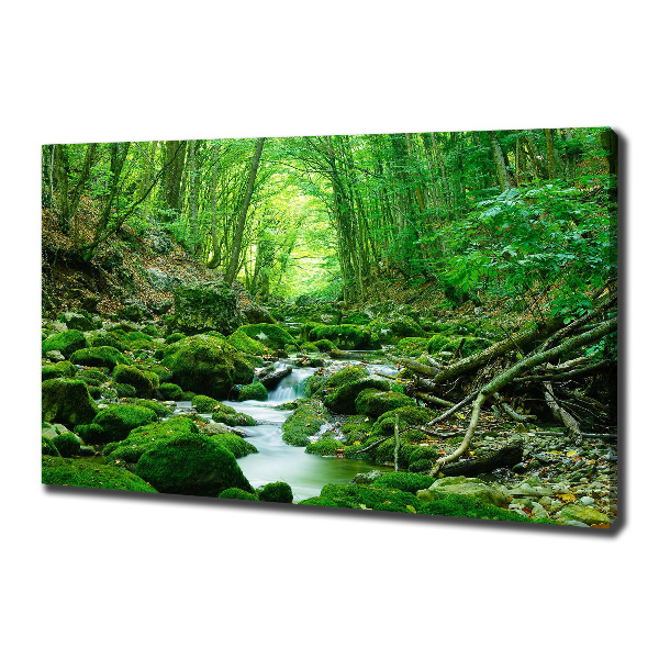 Quadro su tela Un ruscello nella foresta