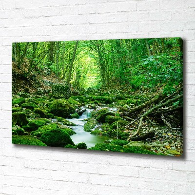 Quadro su tela Un ruscello nella foresta