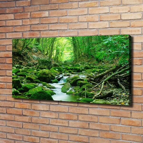 Quadro su tela Un ruscello nella foresta