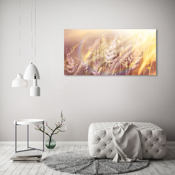 Foto quadro su tela Erba alta