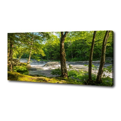 Quadro stampa su tela Fiume nella foresta