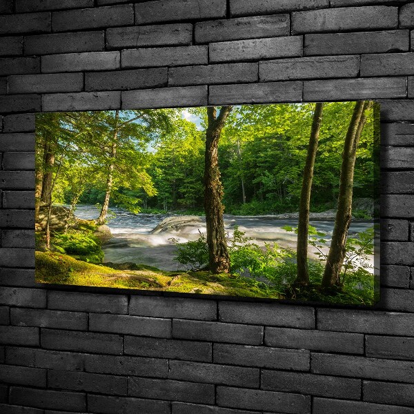 Quadro stampa su tela Fiume nella foresta