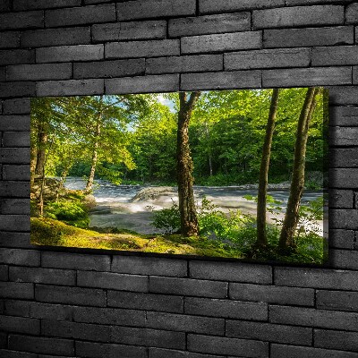 Quadro stampa su tela Fiume nella foresta