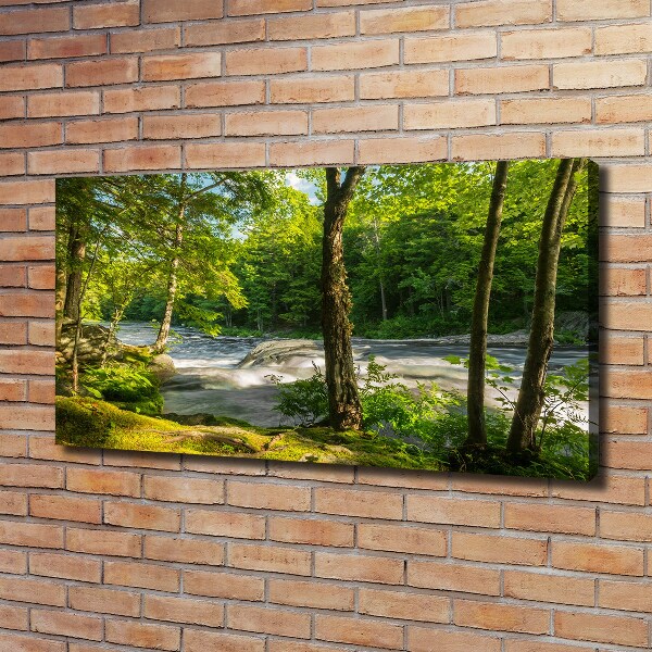 Quadro stampa su tela Fiume nella foresta
