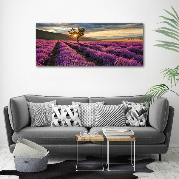 Foto quadro su tela Campo di lavanda
