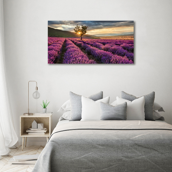 Foto quadro su tela Campo di lavanda