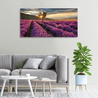 Foto quadro su tela Campo di lavanda