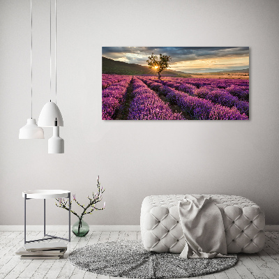 Foto quadro su tela Campo di lavanda