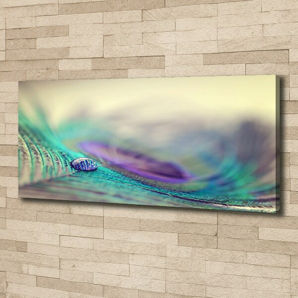 Quadro su tela Una goccia su una piuma