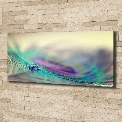 Quadro su tela Una goccia su una piuma