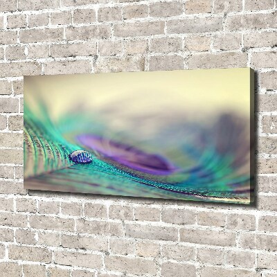 Quadro su tela Una goccia su una piuma