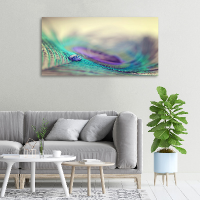 Quadro su tela Una goccia su una piuma