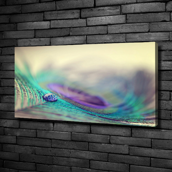 Quadro su tela Una goccia su una piuma
