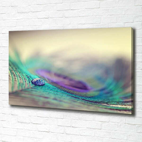 Quadro su tela Una goccia su una piuma