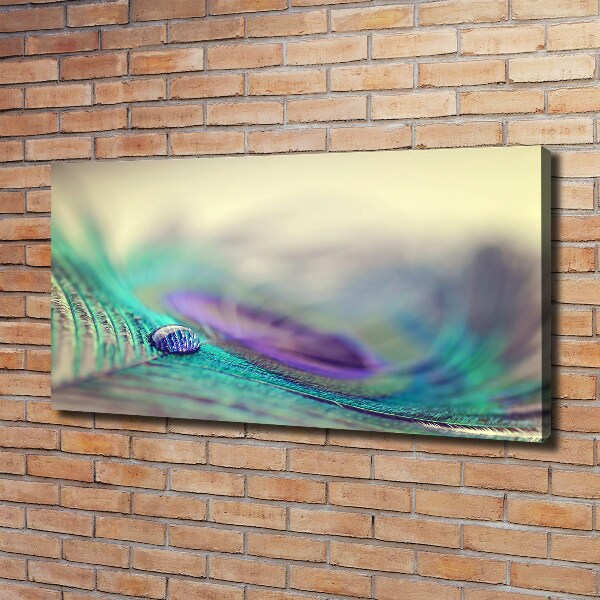 Quadro su tela Una goccia su una piuma