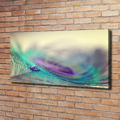 Quadro su tela Una goccia su una piuma