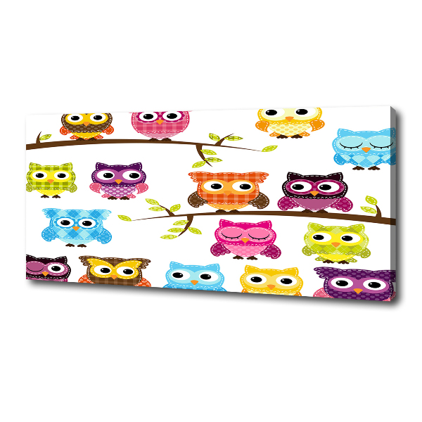 Quadro su tela Gufi colorati