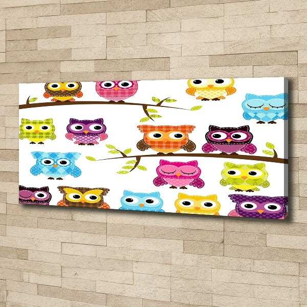 Quadro su tela Gufi colorati