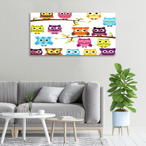 Quadro su tela Gufi colorati