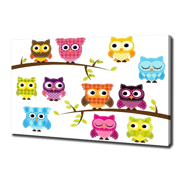 Quadro su tela Gufi colorati