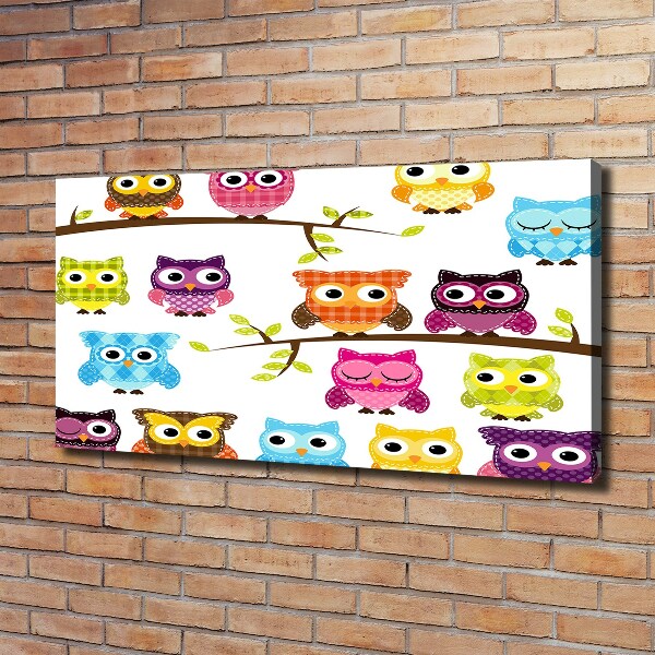 Quadro su tela Gufi colorati