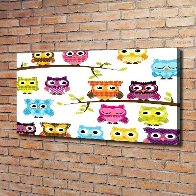 Quadro su tela Gufi colorati