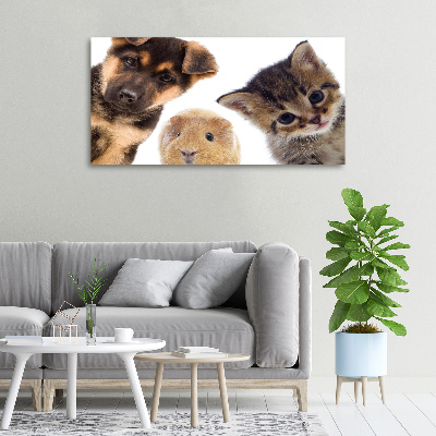 Foto quadro su tela Animali domestici