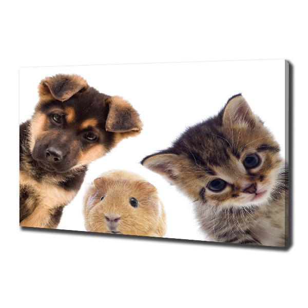 Foto quadro su tela Animali domestici