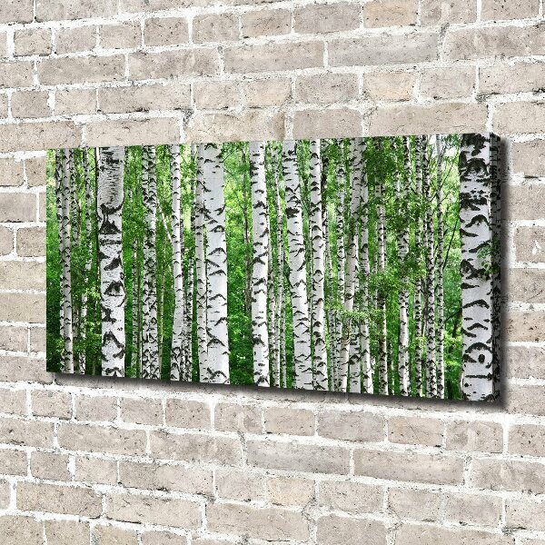 Quadro stampa su tela Betulle