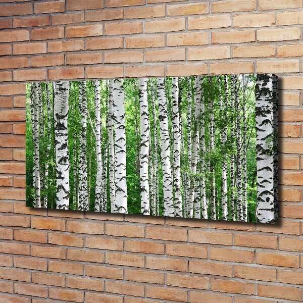 Quadro stampa su tela Betulle