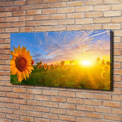 Quadro stampa su tela Un campo di girasoli