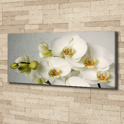Foto quadro su tela Orchidea bianca